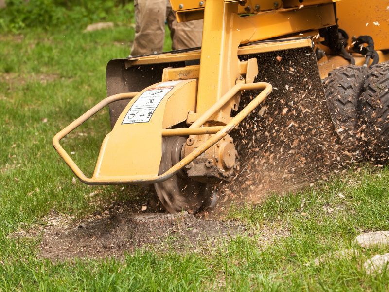 Stump Grinder Services