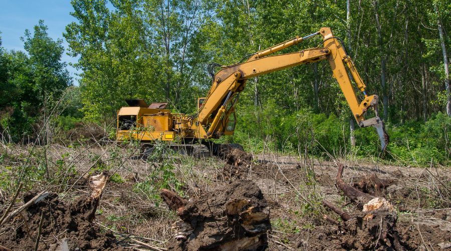 Stump Grinding