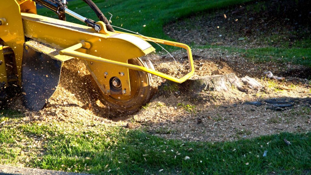 Stump Grinding Services